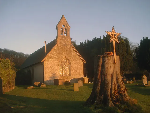 St Mary's Church - 2 A closer view of the simple bell tower, lit by the setting sun. The large tree stump on the right plays host to some very large mushrooms, which I think are Velvet Shanks.
