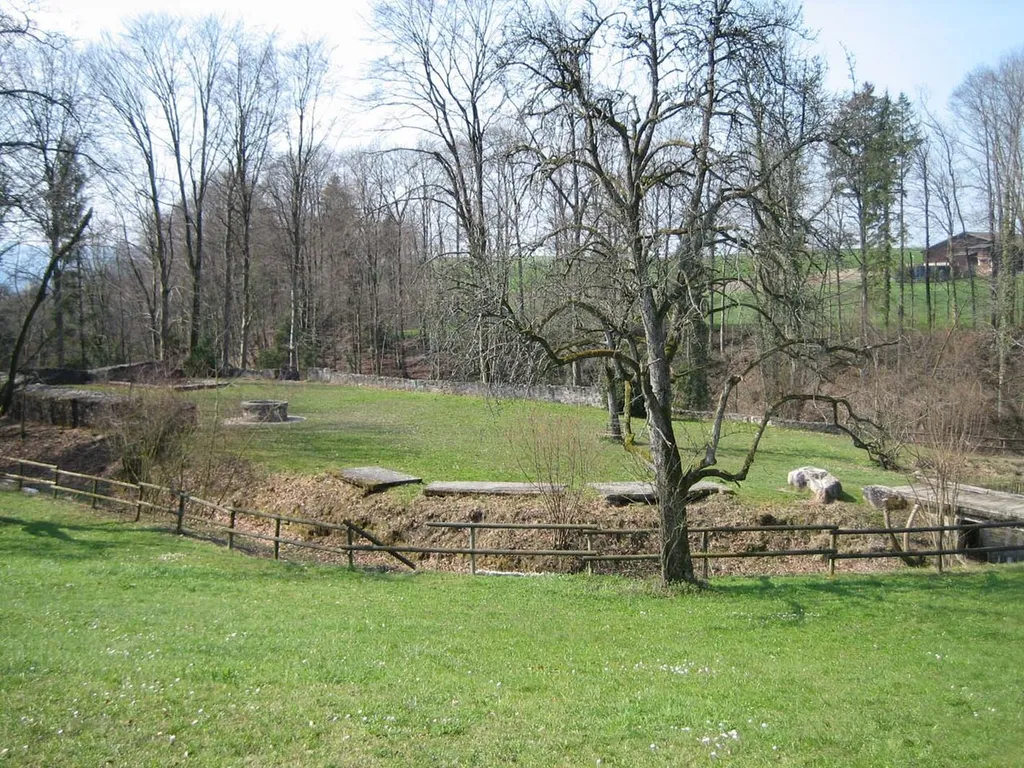 Ruine Friedberg: Übersicht
