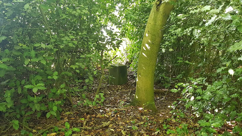 Belgium-Netherlands boundary stone no. 15a