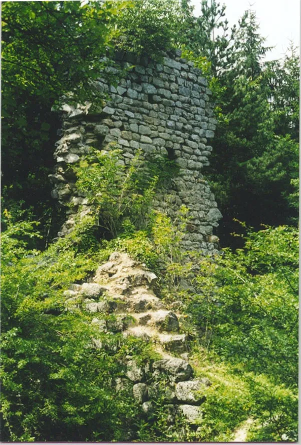 Ruins of Montguerlhe