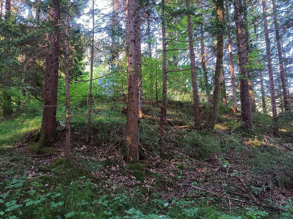 Burgstall des Mittelalters auf dem Galgenbichel in Horn, Gemeinde Schwangau