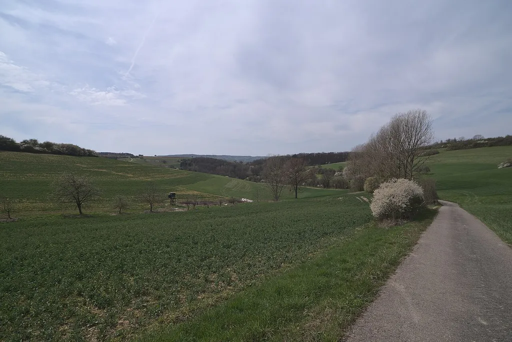 Das Landschaftsschutzgebiet Blieskastel.