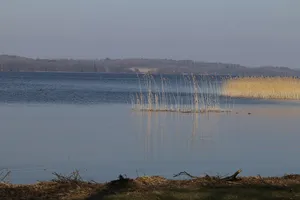 Västra Bosjöklosterhalvön