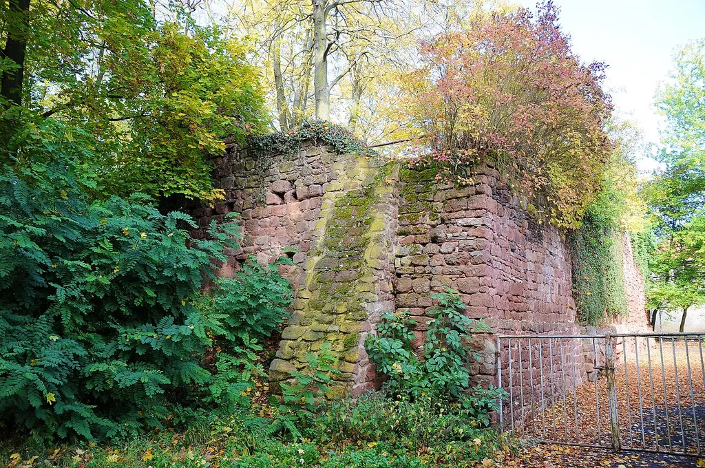 Remains of Castle Stauf.
