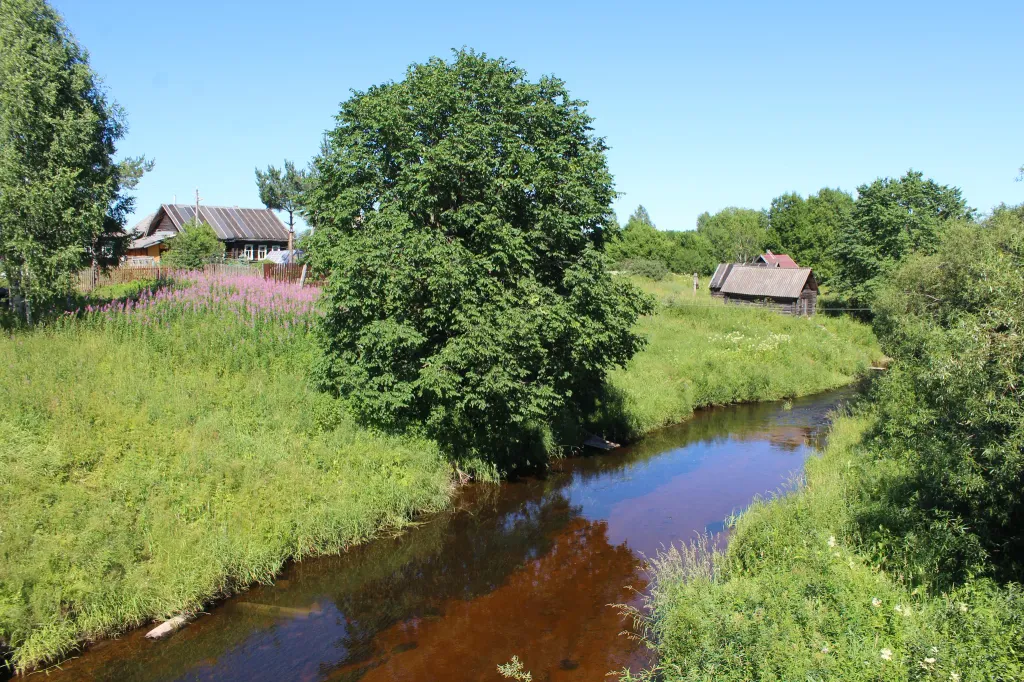 Sidorkovo