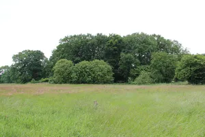 Mansinger Burgplatz