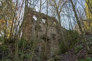 Burg Neu-Tannegg