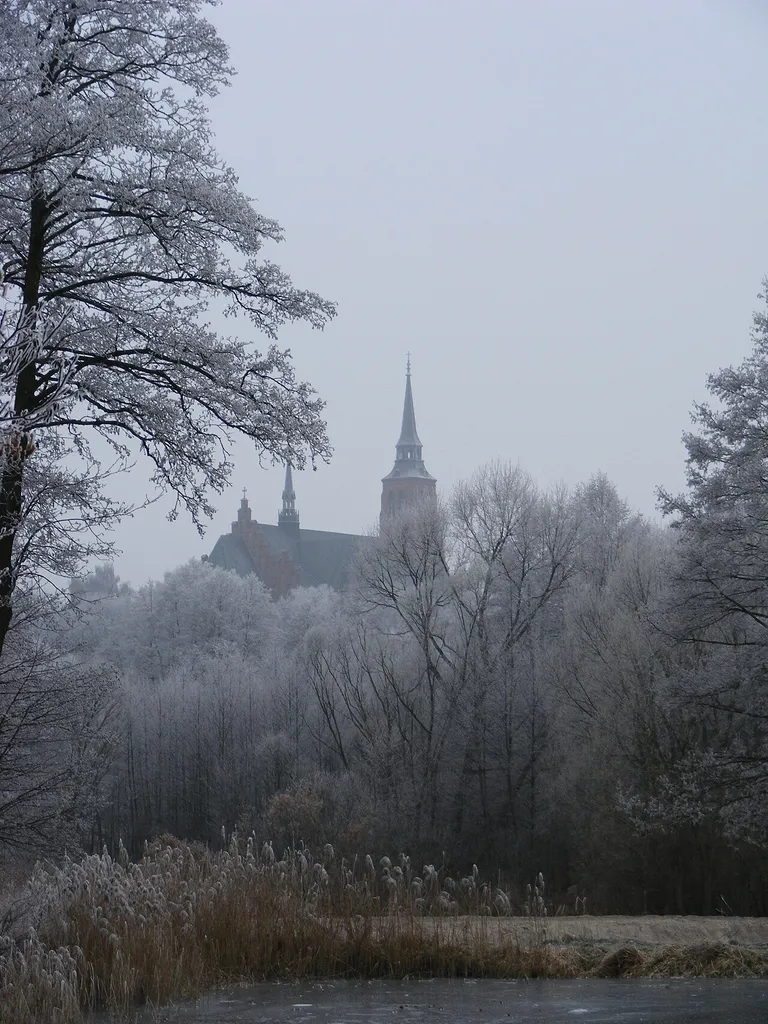 Kościół Wniebowzięcia NMP od strony Izydorów.