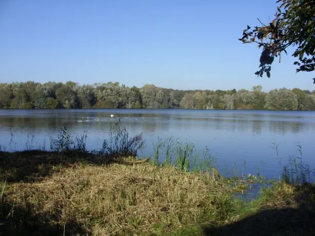 Dunger See