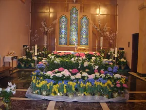 St. Francis Xavier's Church