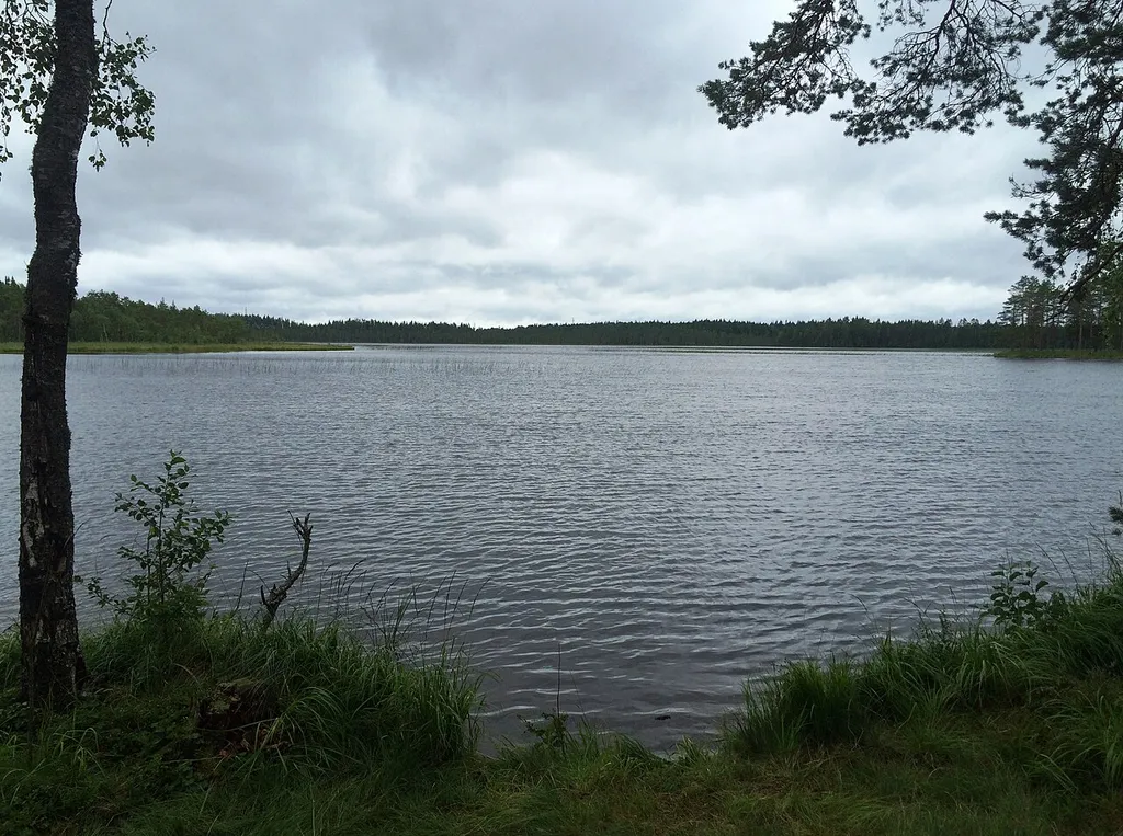 Finkino