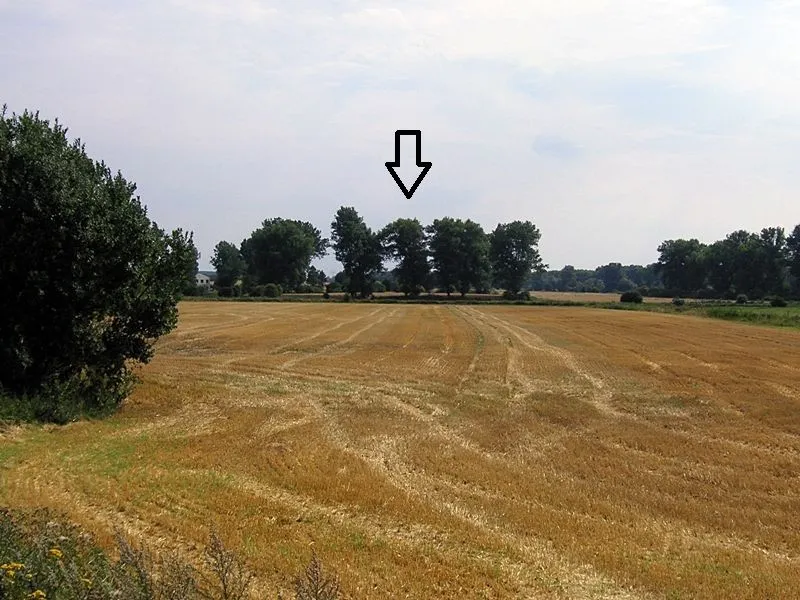Blick zum Burgwall