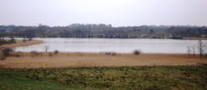 Middelburger See
