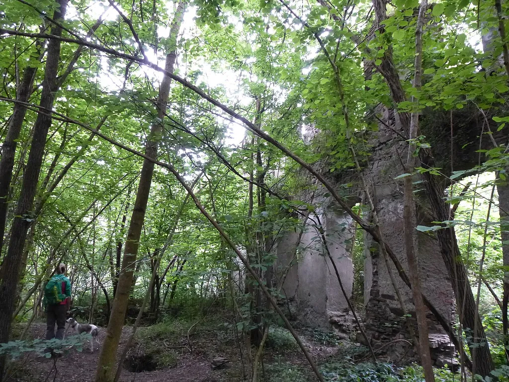 Ruins of the former Carmelites convent Toenesstein (aka Sankt Antoniusstein), established in 1465, in the wood land near Toenisstein, Rhineland-Palatinate, Germany