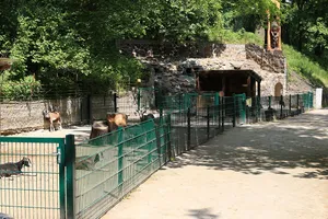 Tierpark Senftenberg