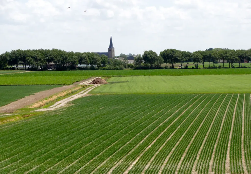 Zicht op Oosterbierum