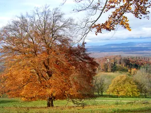 Schönberg mit Schwarzwaldhängen