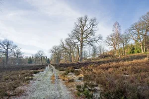 Breeser Grund