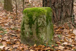 Grenzstein Fürther Stadtwald in Fürth