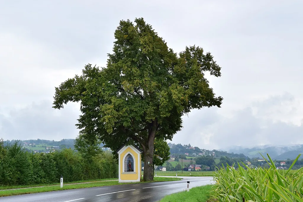 This media shows the natural monument in Upper Austria with the ID nd319.