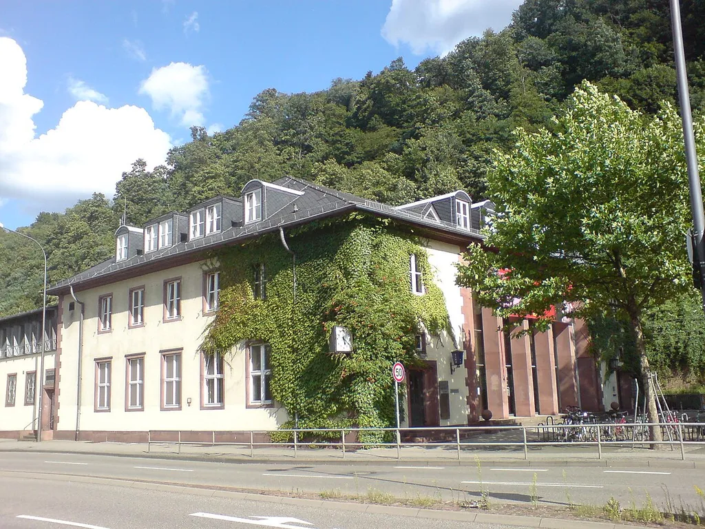 Heidelberg-Altstadt station