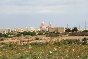 Dingli