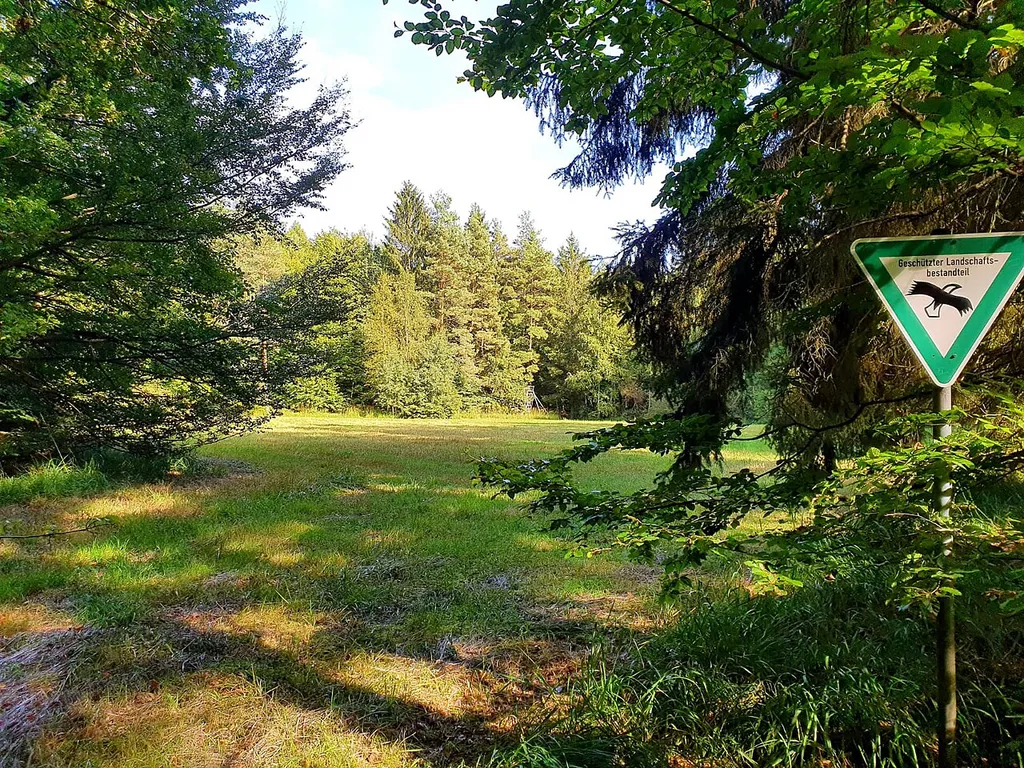 Die Klosterwiese bei Neuhaus im Neuhauser Forst ist eine Pfeifengraswiese