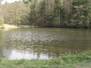 Burgstall Schenkensee