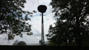 Samin, Warmian-Masurian Voivodeship