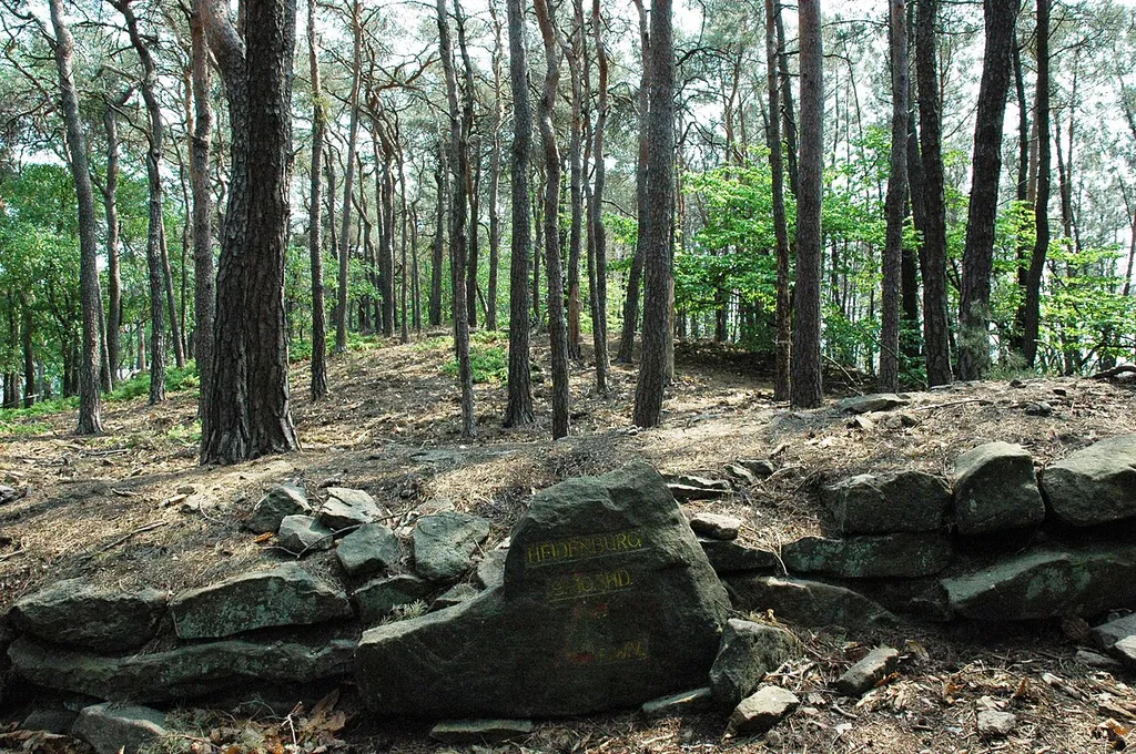 Ringwall Heidenburg