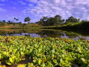 Otuquis National Park and Integrated Management Natural Area