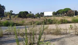 Cinema Metro Drive-In