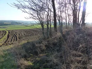 Burgstall Rodesgrün