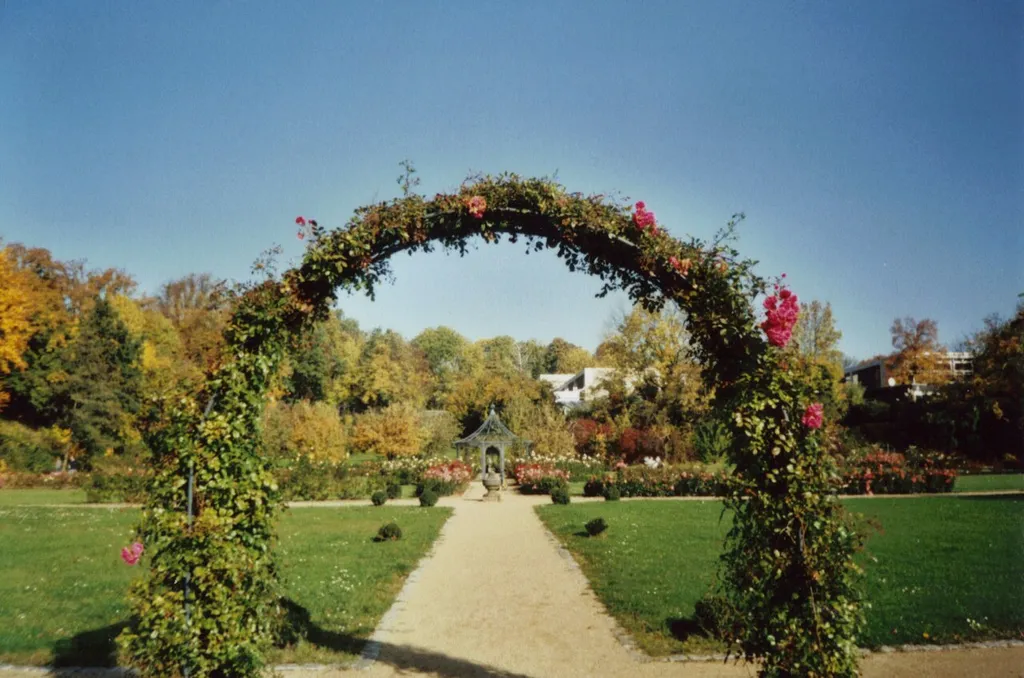 Hildesheim, Saint Magdalena's Garden, Main Path