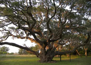 Goose Island State Park