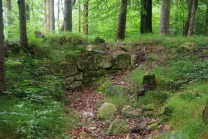 Burgstall Vager