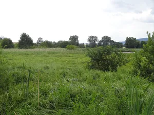 Naturschutzgebiet Klosterwiesen von Rockenberg