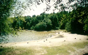 Dammer Bergsee