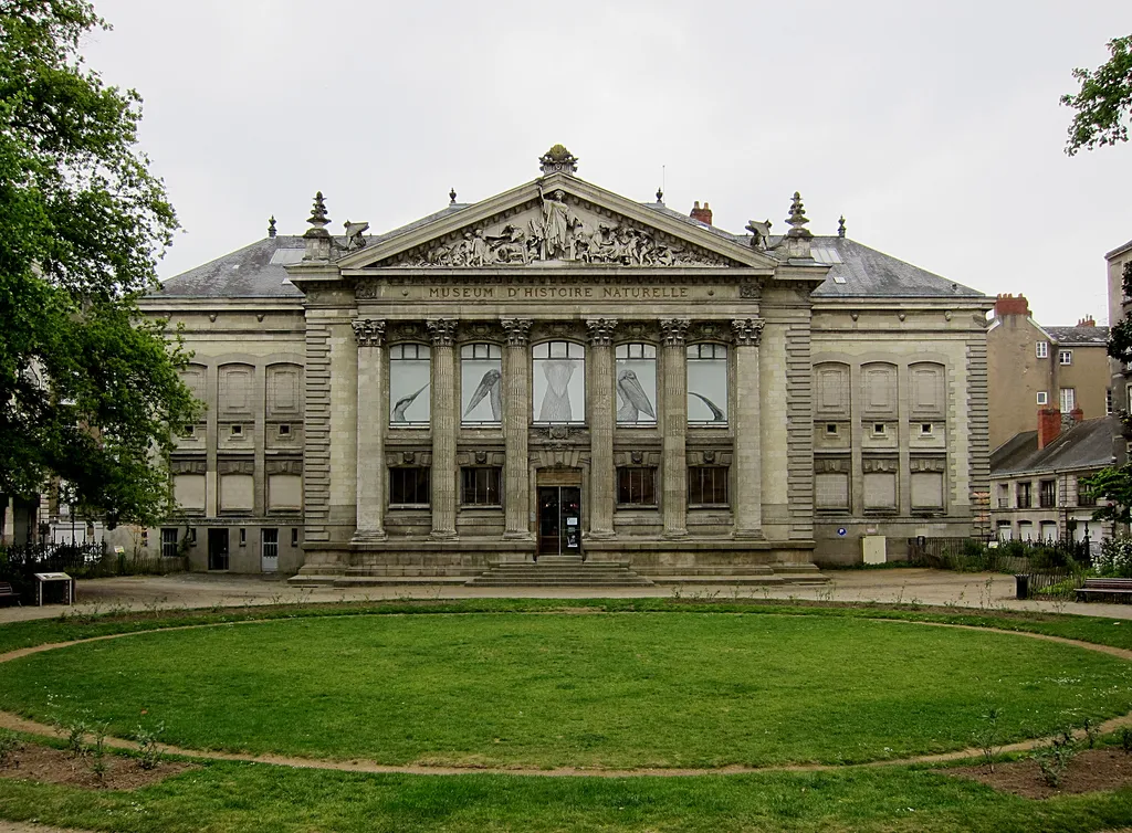 Natural History Museum of Nantes