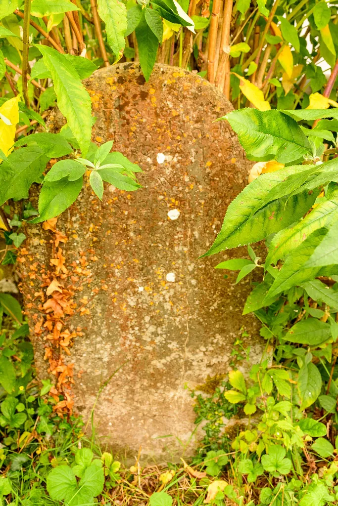 Drewsteignton churchyard, Devon
