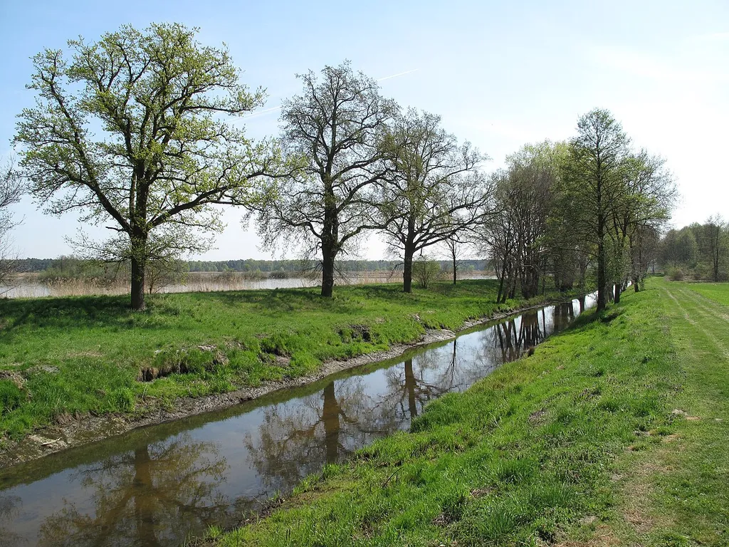 The Kietzer See is a shallow lake in Altfriedland, a village of the municipality Neuhardenberg in the District Märkisch-Oderland, Brandenburg, Germany. The lake covers 206 hectare. It’s the body of water at the center of the European bird protection area Altfriedländer Teich- und Seengebiet (SPA) and is fed by the Stobber.