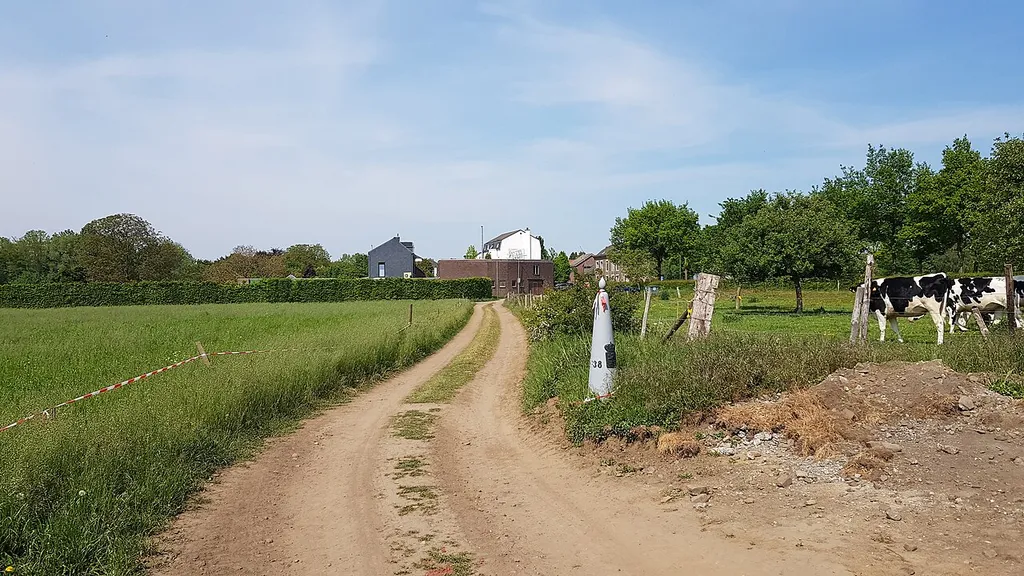 Belgium-Netherlands boundary stone no. 38