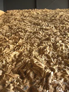 Fossilienwelt Weinviertel