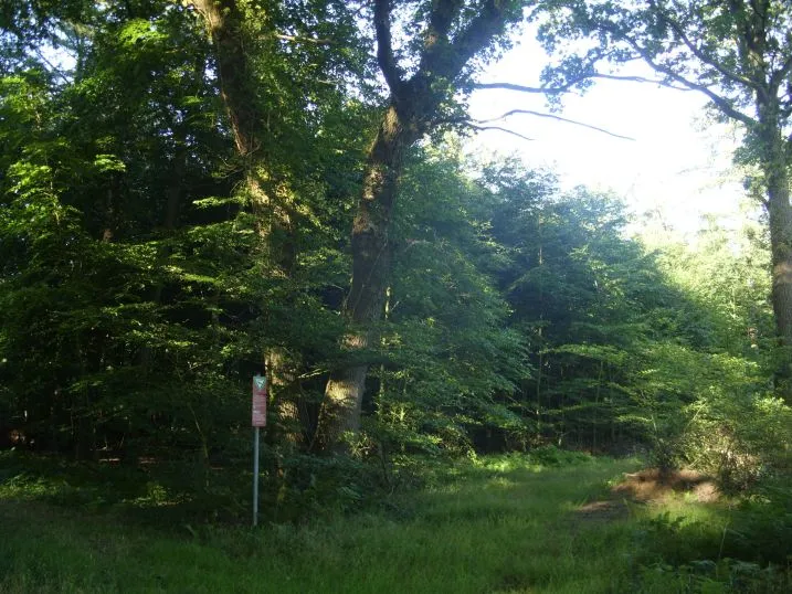 Huuss im Flögelner Holz