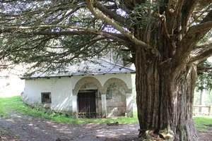 field of church of Santa Coloma (Allande)