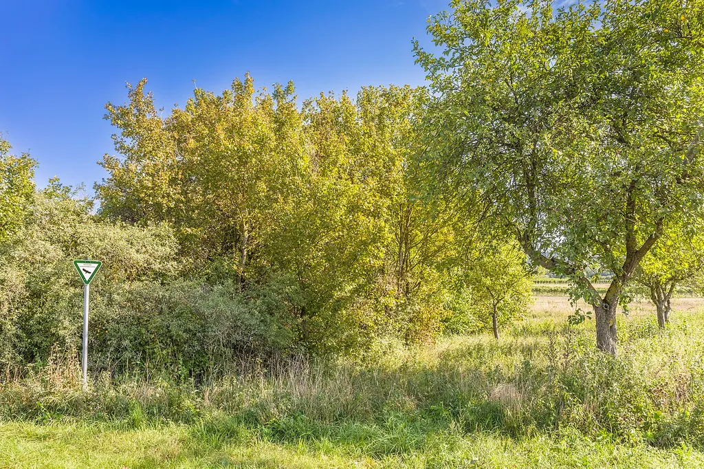 LB Zwei Hecken an den Burgwegäckern von Süden