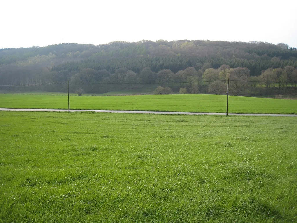 Fürstenbergholz und Wannebachtal