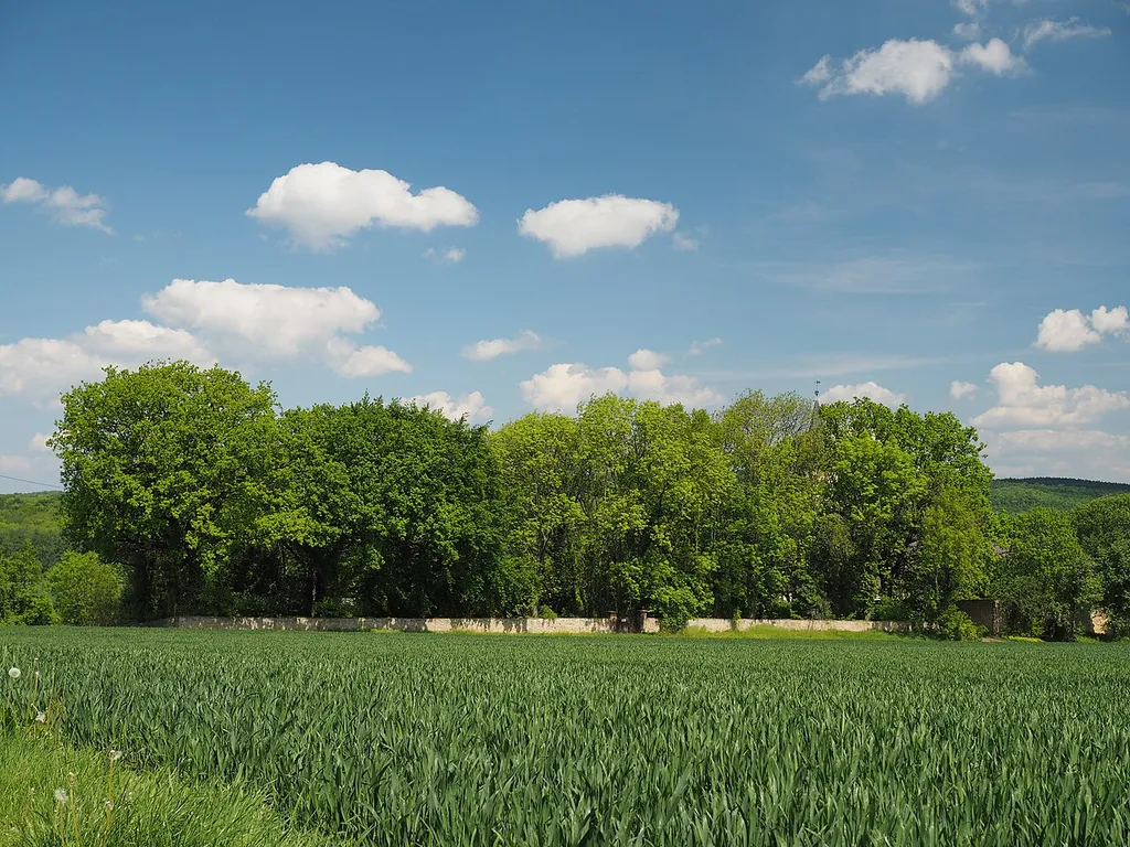 Blick auf die Südseite des Landschaftsschutzgebiets LSG GS 00011 "Friedhof des Klostergutes Grauhof"