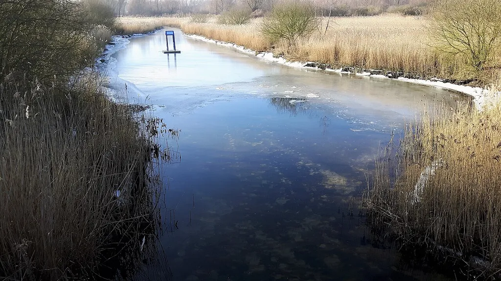 Das letzte Refugium eines einstigen Feuchtgebiet an der Unterwarnow in Mecklenburg Vorpommern.