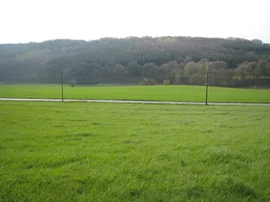 Fürstenbergholz und Wannebachtal